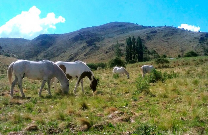 Terrenos en Estancia Grande, San Luis - Haras de Estancia