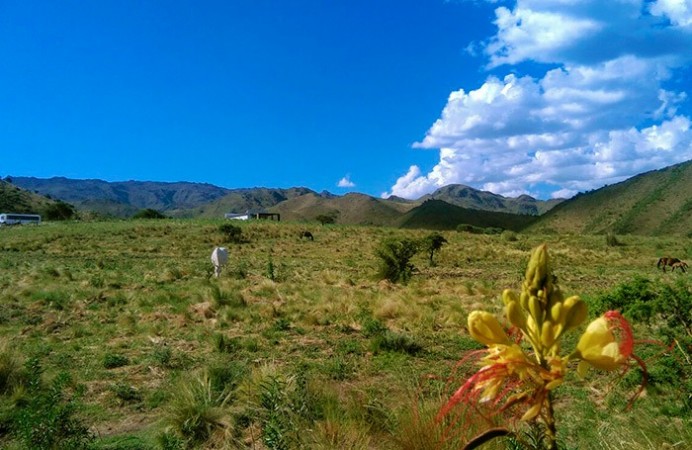 Terrenos en Estancia Grande, San Luis - Haras de Estancia